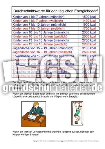 Energiebedarf-Kalorienangaben.pdf